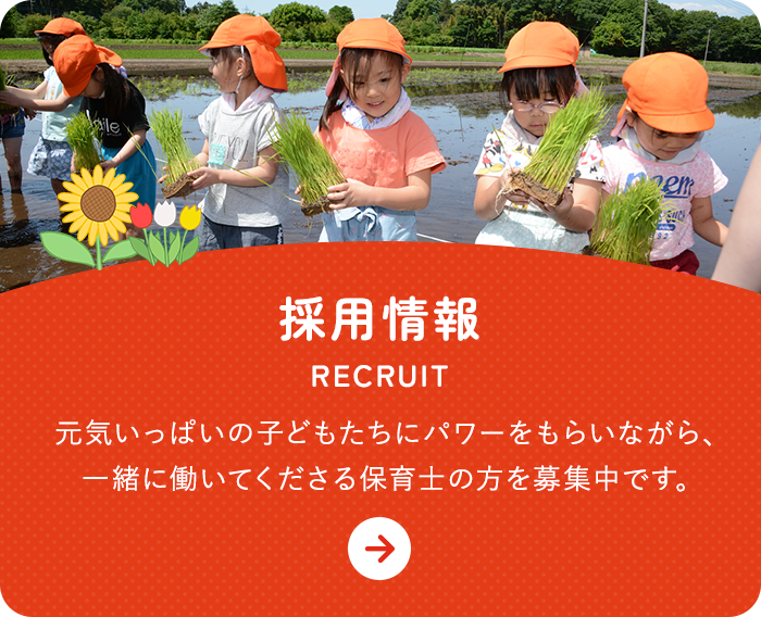 採用情報